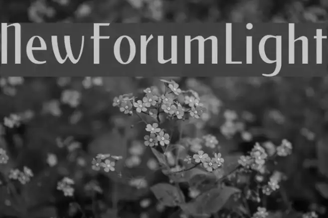 NewForumLight Example 2