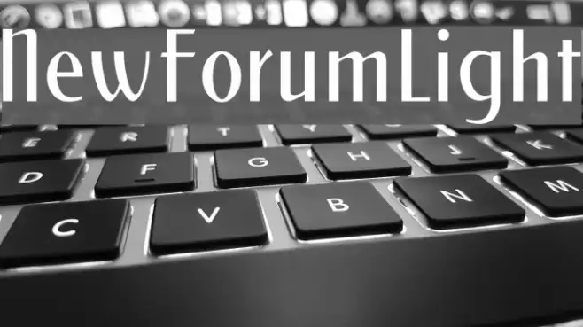 NewForumLight Example 3