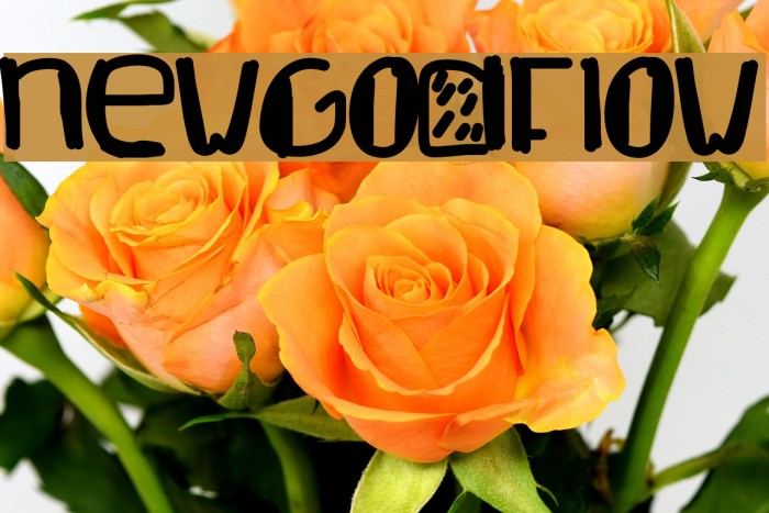 NewGodFlow Example 2