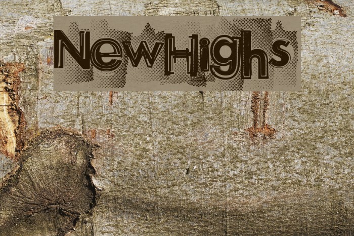 NewHighs Font examples