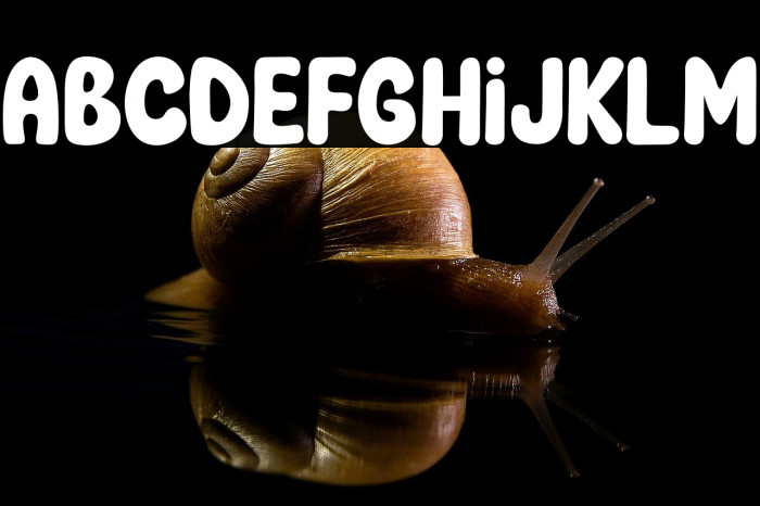 NewHomeDisplay Example 2