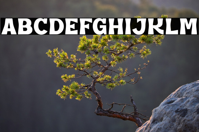 NewInnerspeaker Example 3