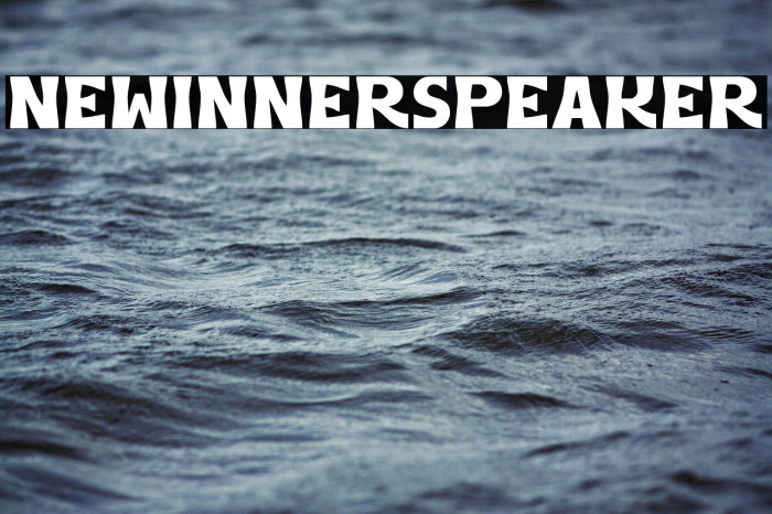 NewInnerspeaker Example 1