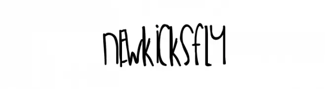 NewKicksFly 