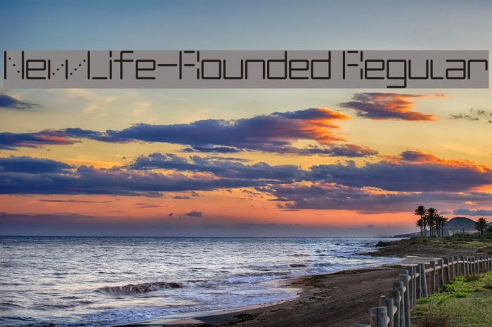 NewLife-Rounded Regular Font examples
