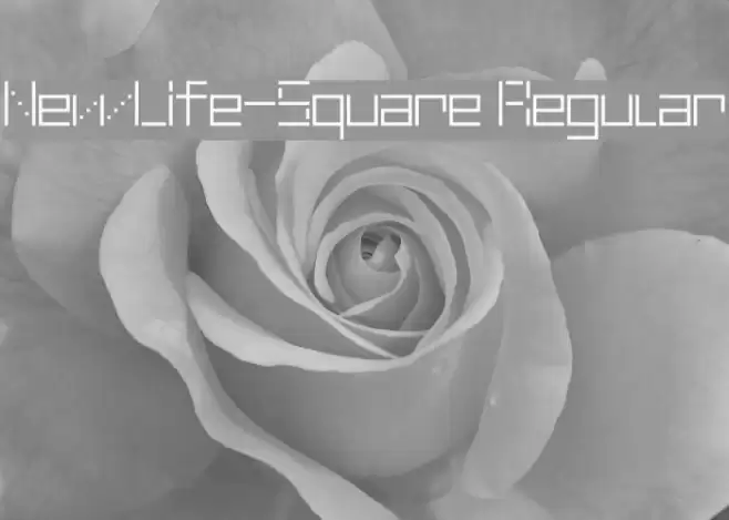NewLife-Square Regular Font examples