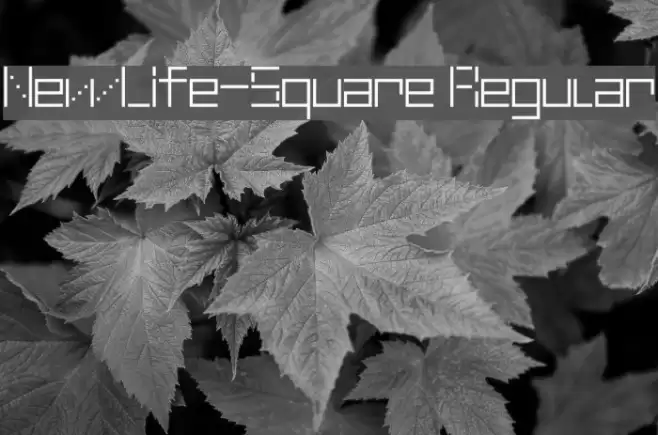 NewLife-Square Regular Font examples