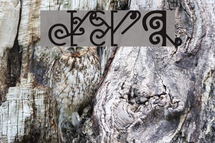 NewMaori Font examples