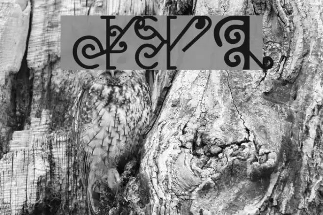 NewMaori Example 3