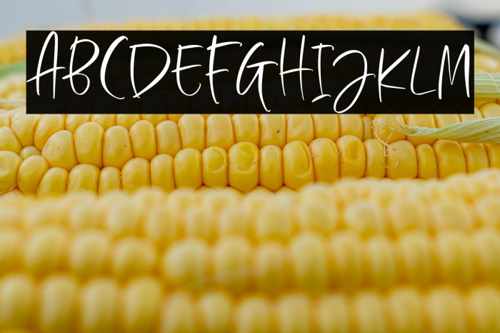 NewOrleansDEMO Example 3