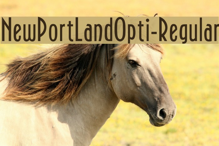 NewPortLandOpti-Regular Font examples