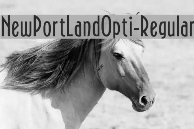 NewPortLandOpti-Regular Fonte examples