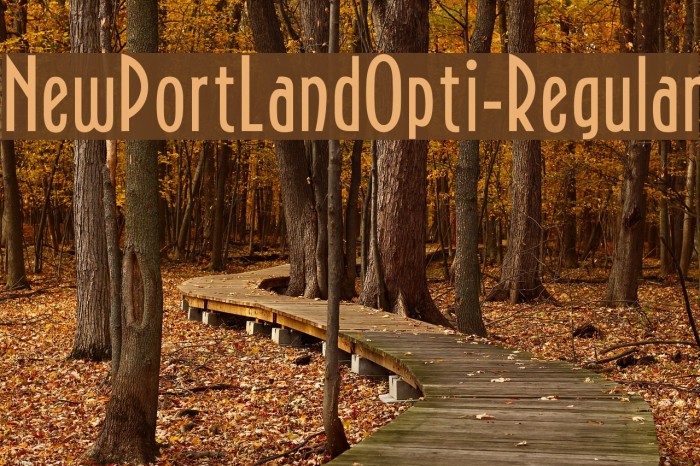 NewPortLandOpti-Regular Font examples