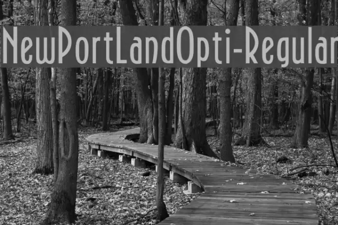NewPortLandOpti-Regular Fonte examples