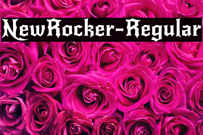 NewRocker-Regular Example 3
