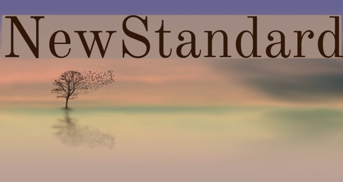 NewStandard Font examples