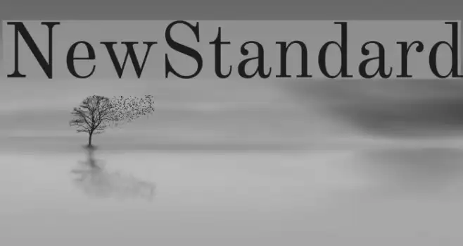 NewStandard Example 2