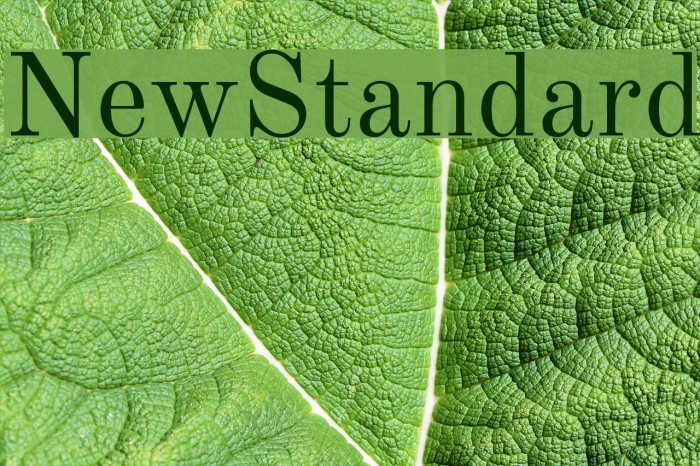 NewStandard Font examples