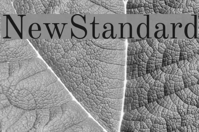 NewStandard Example 3