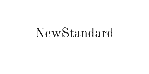 NewStandard Logo