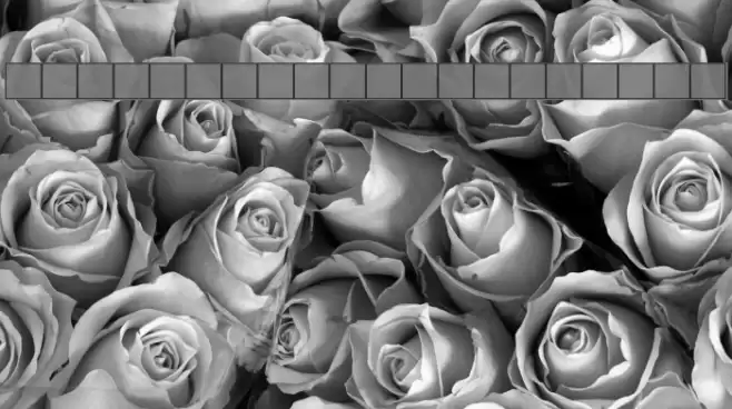 NewStyle Bold Italic Font examples