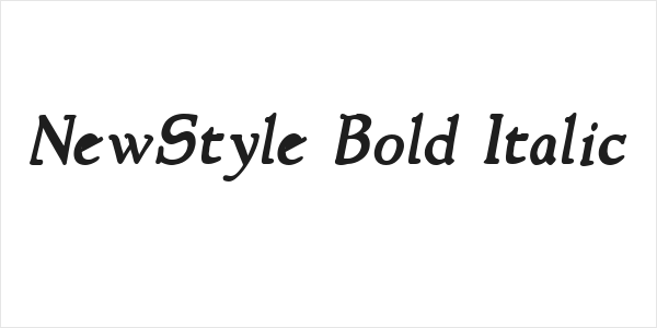 NewStyle Bold Italic Logo