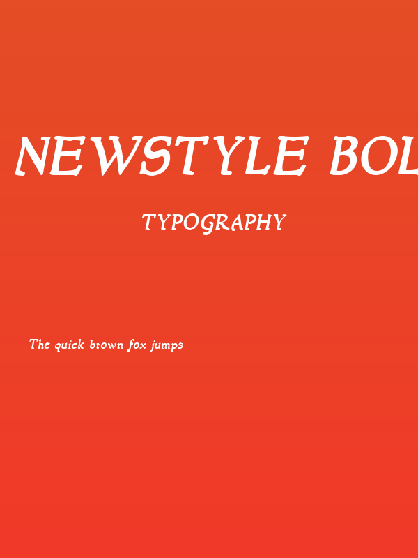 NewStyle Bold Italic Poster