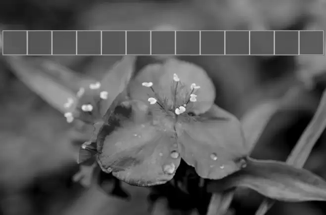 NewStyle Bold フォント examples