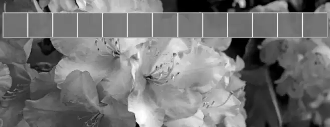 NewStyle Bold フォント examples