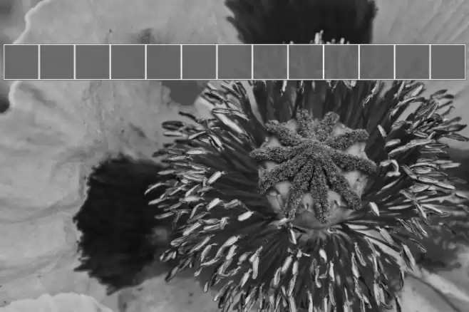 NewStyle Bold フォント examples