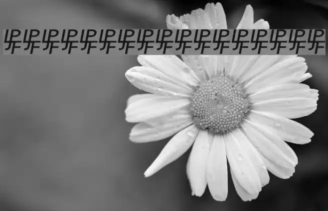 NewStyle Embossed Font examples