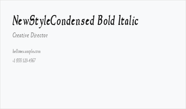 NewStyleCondensed Bold Italic Business Card
