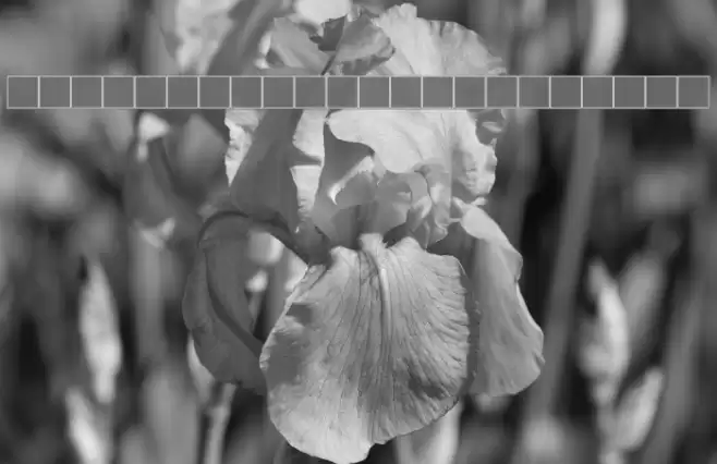 NewStyleCondensed Bold Font examples