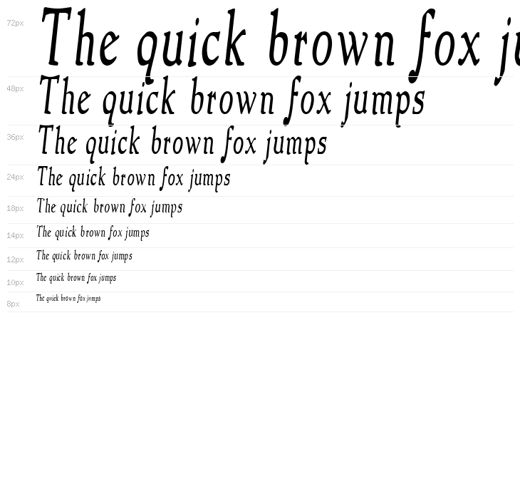 NewStyleCondensed Italic Waterfall