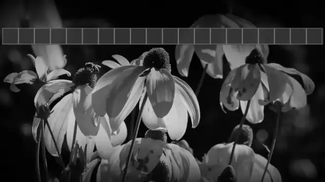 NewStyleLight Italic خط examples