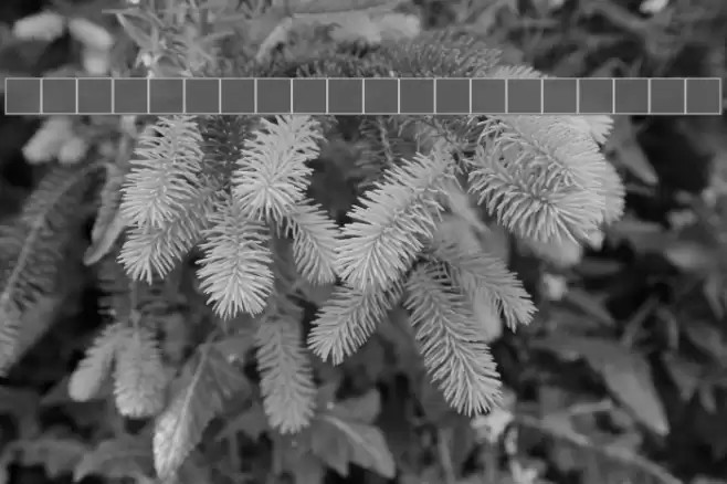 NewStyleLight Italic خط examples