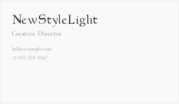 NewStyleLight Business Card