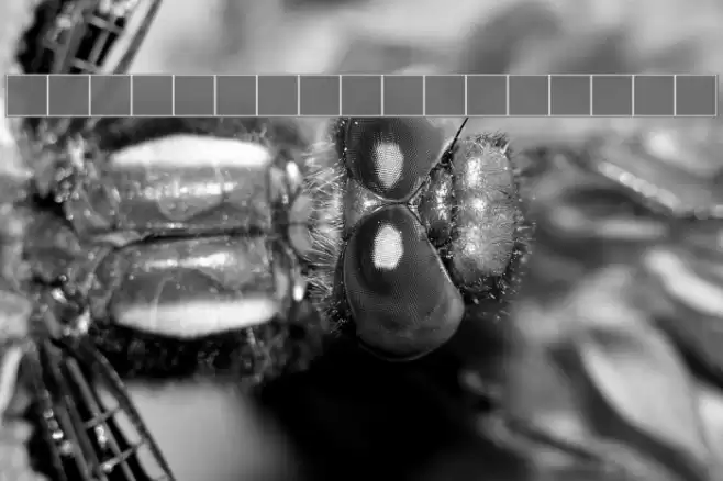 NewStyleSmallCaps Font examples