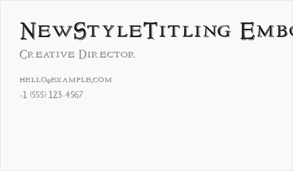 NewStyleTitling Embossed Business Card