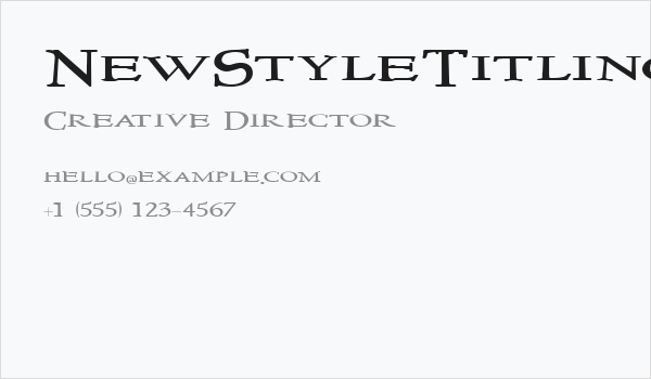 NewStyleTitlingWide Business Card