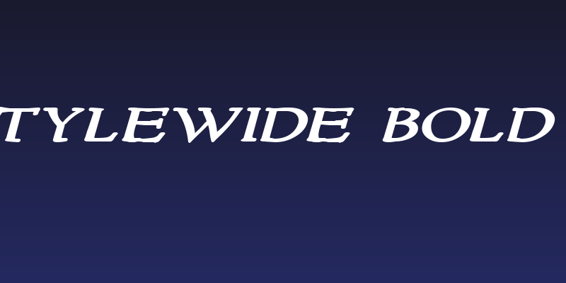 NewStyleWide Bold Italic Social Header