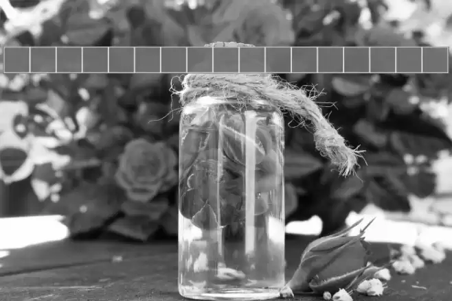 NewStyleWide Bold Font examples