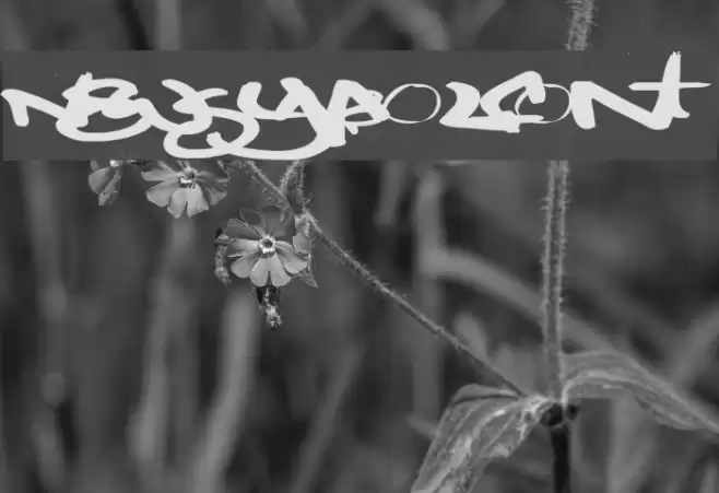 NewSymbolFont5 Font examples