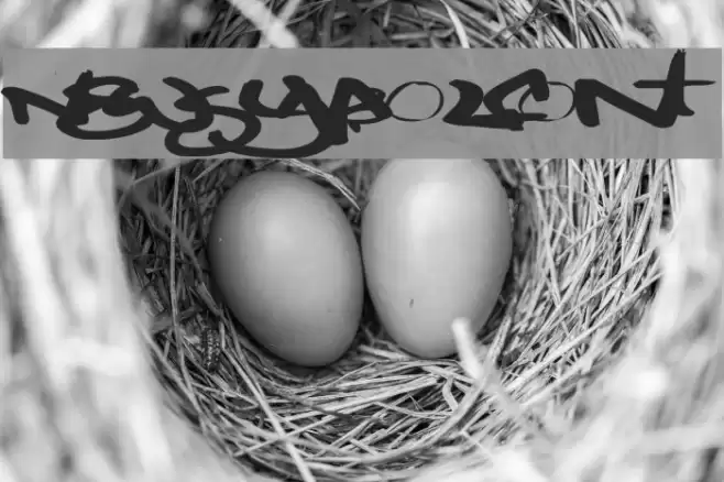 NewSymbolFont5 Font examples