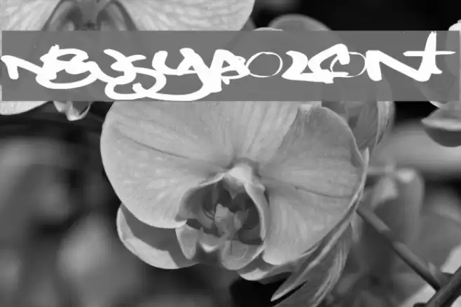 NewSymbolFont5 Font examples