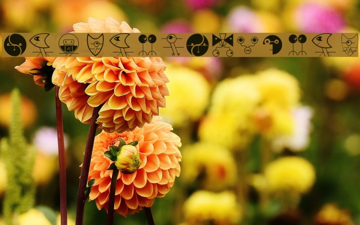 NewTechnoFaces Example 1