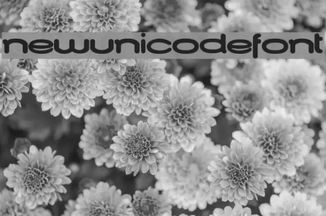 NewUnicodeFont Font examples