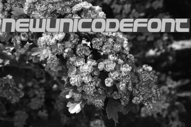 NewUnicodeFont Font examples