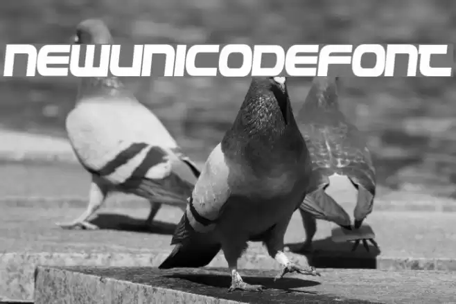 NewUnicodeFont フォント examples