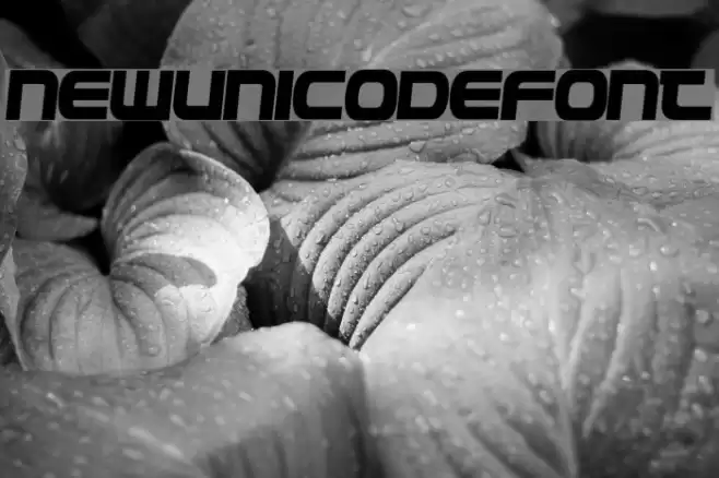 NewUnicodeFont フォント examples